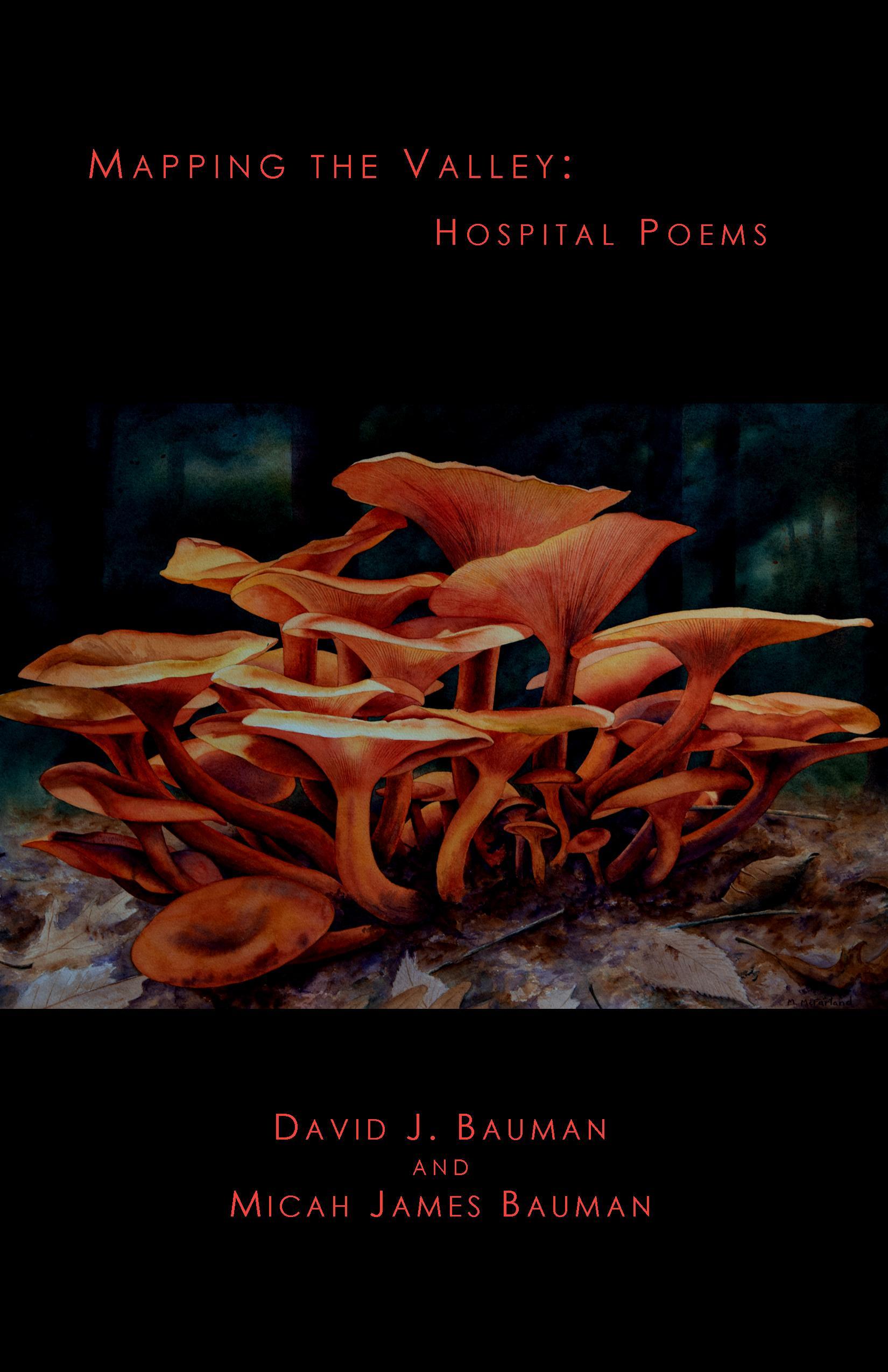 <b>David</b> J. Bauman & Micah James Bauman| Mapping the Valley | Seven ...