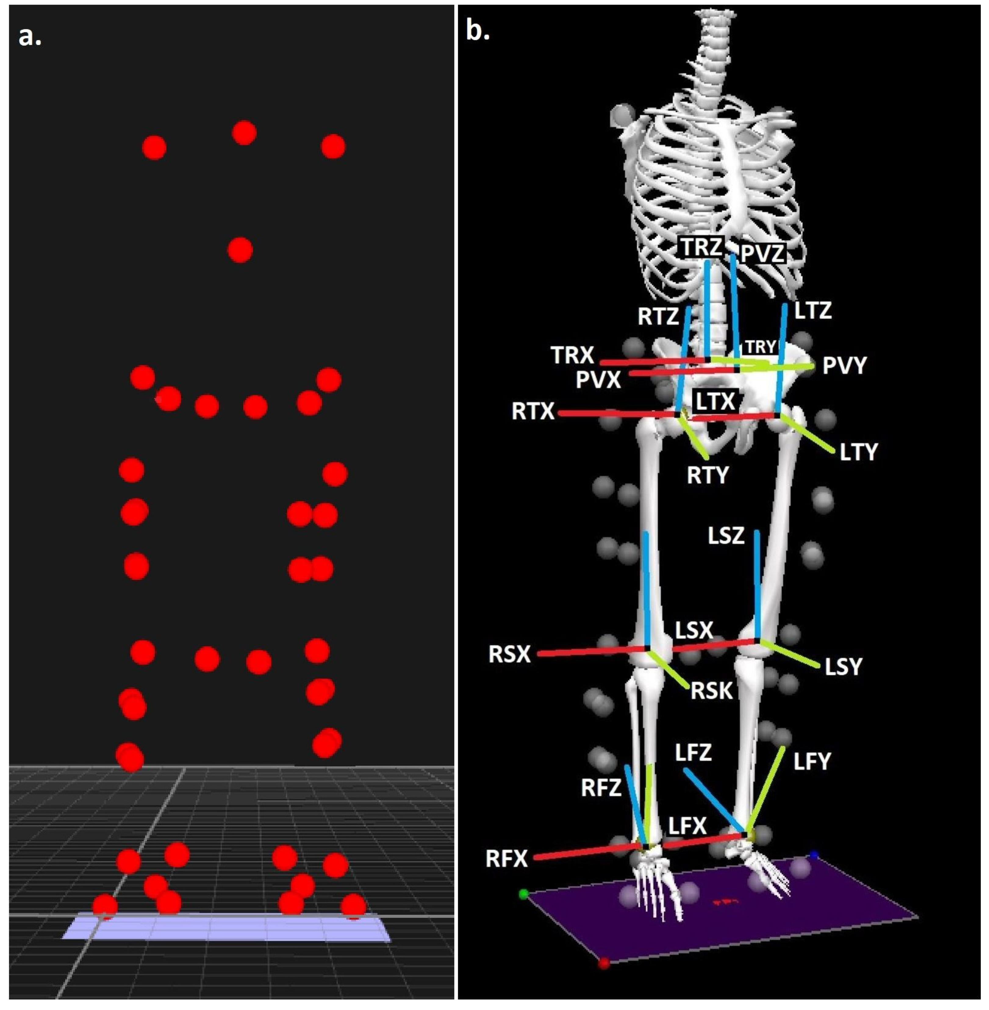 Two-Experiment Examination of Habitual and Manipulated Foot ...