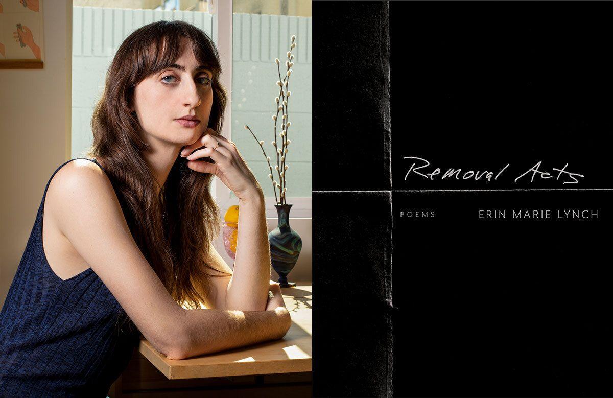 Hunger Mountain Review – VCFA Journal of the Arts