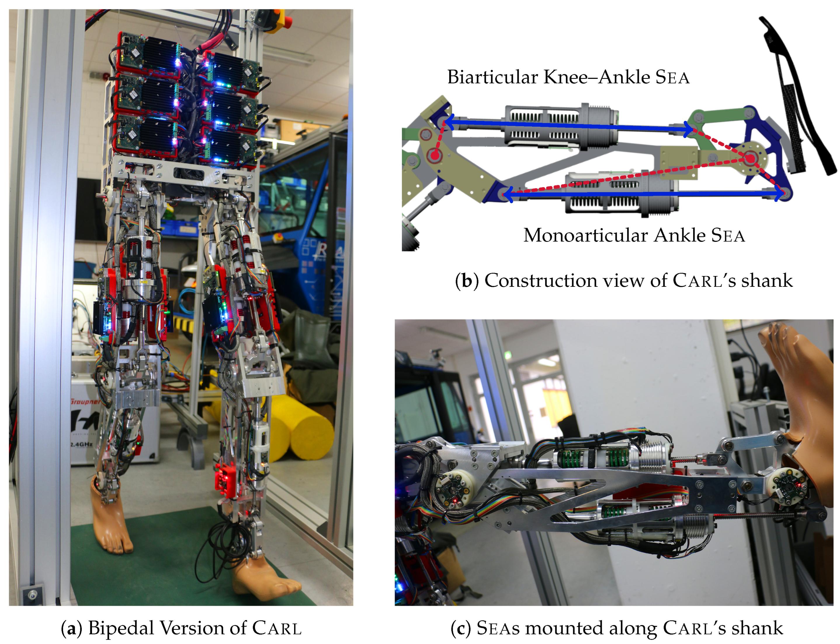 Sensors | Free Full-Text | Muscular Damping Distribution Strategy ...