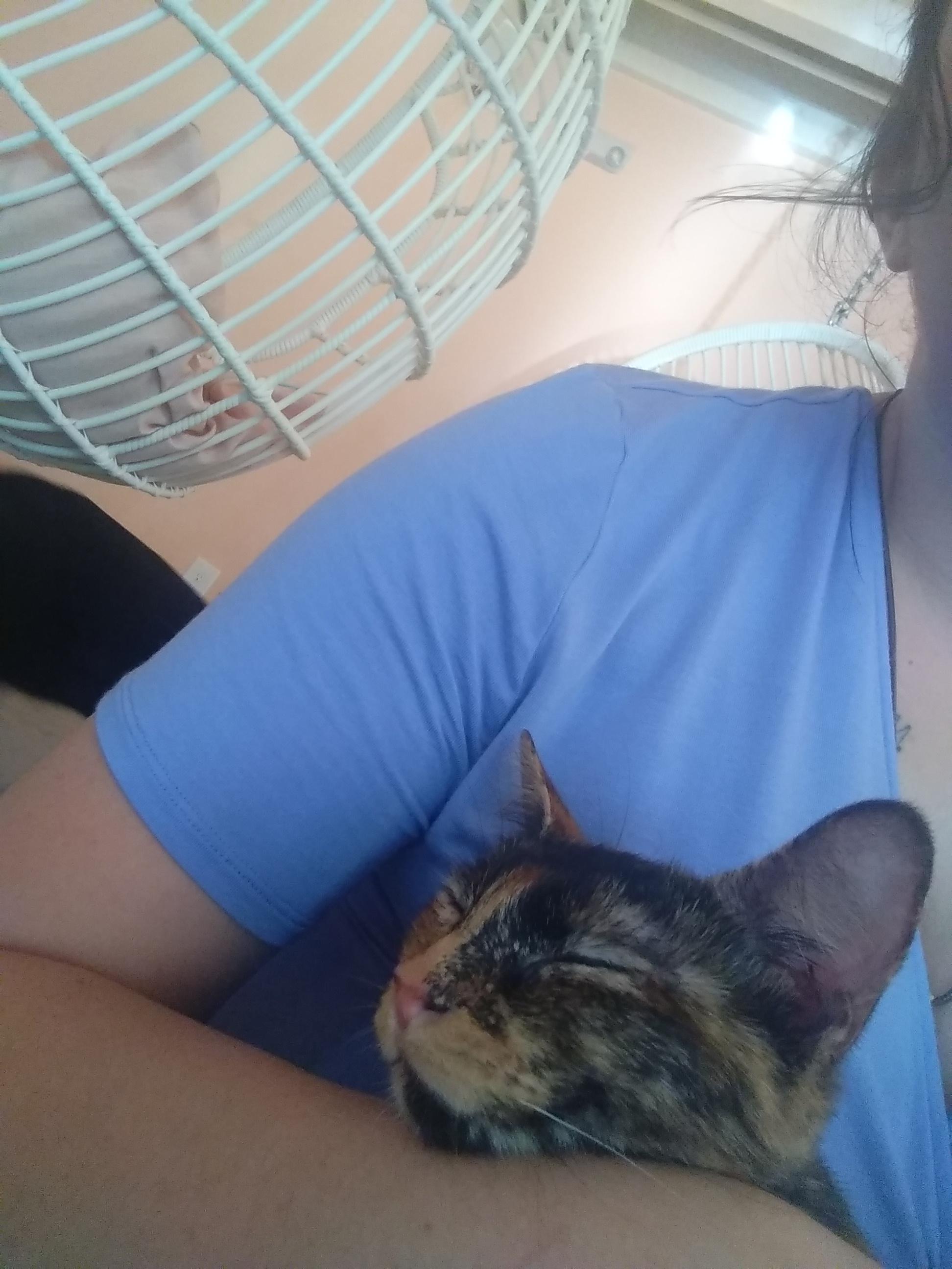 I'm a tortie (well, calico) mama with a spiritual connection to ...