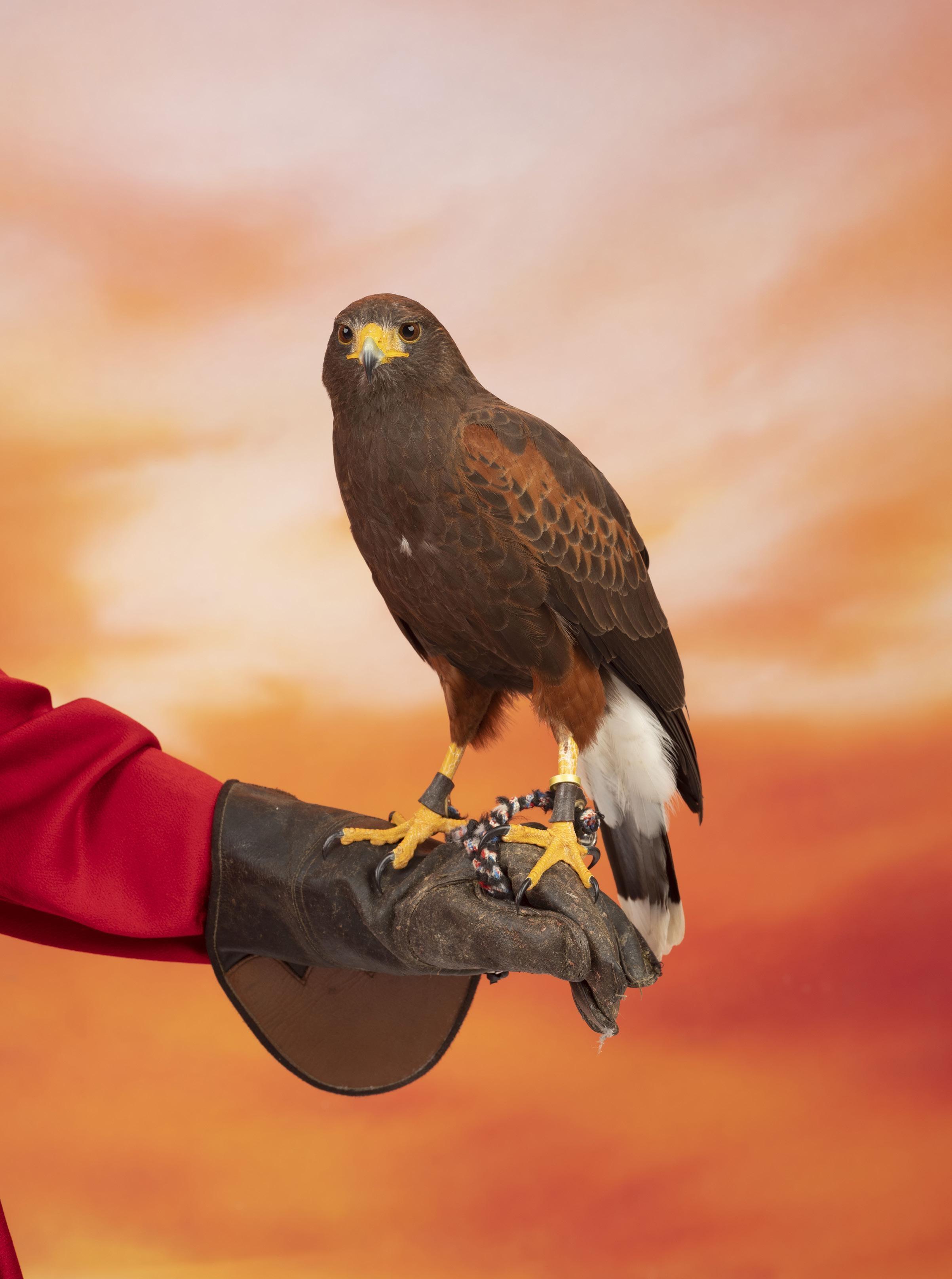 Aperture Spring 2023 Publishing Catalogue by Aperture - Issuu