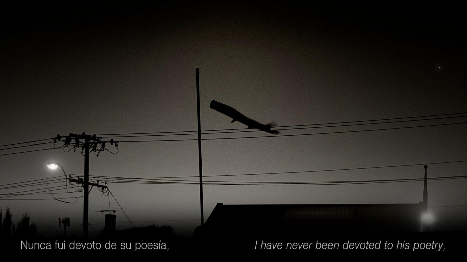 When I Was Clandestine (Cuando Fui Clandestino) | When we bite ...