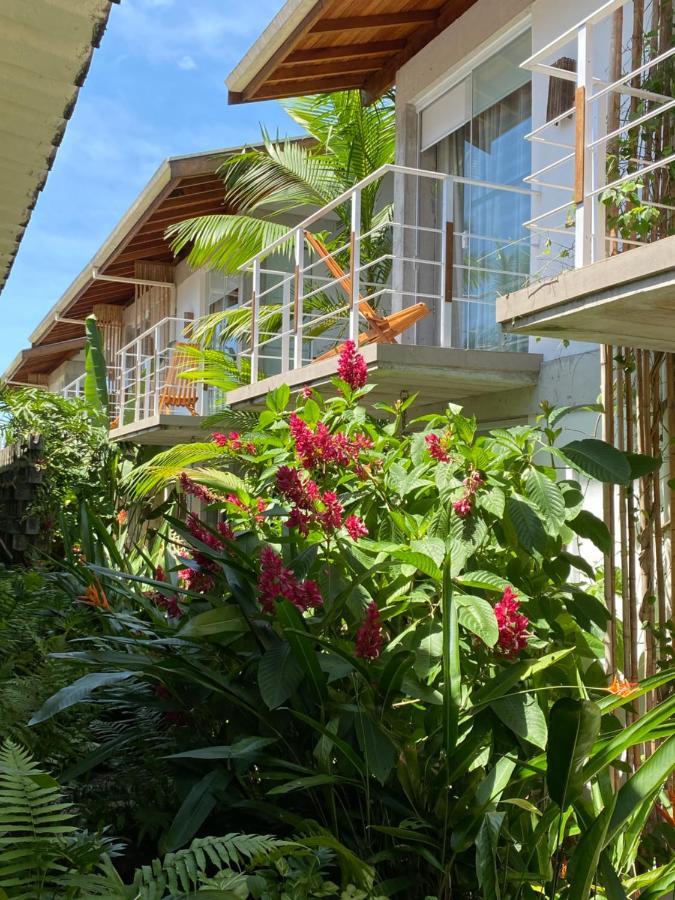 Suite Mountain View