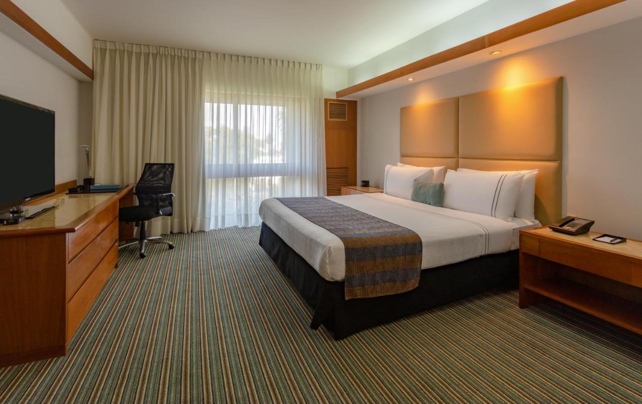 Queen Room,1247084188:JPEG