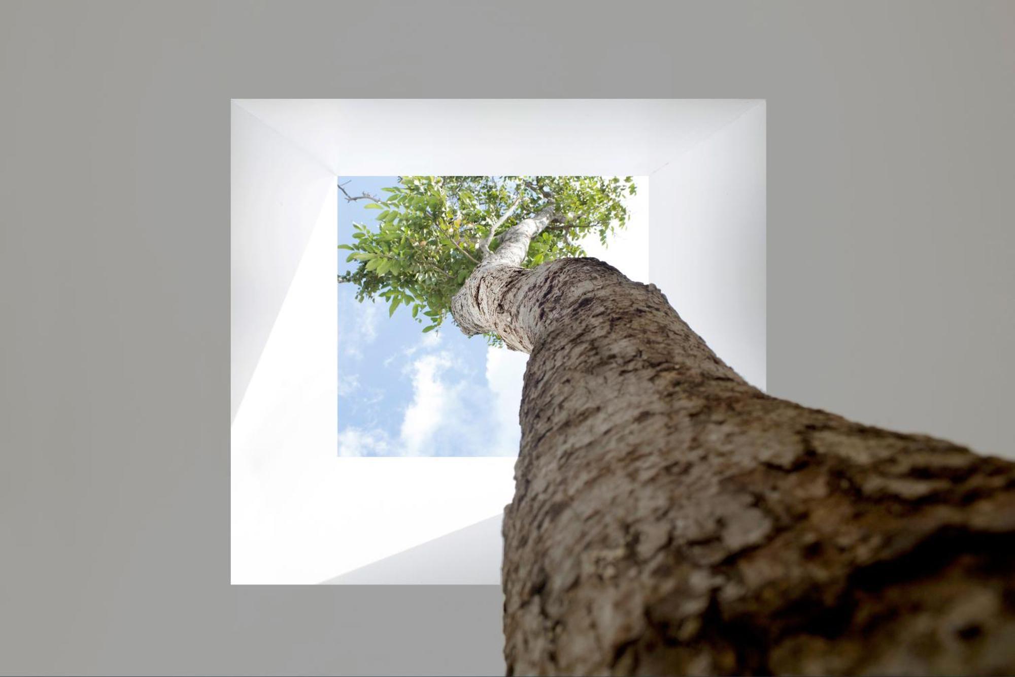 One-Bedroom Secret Pool Villa