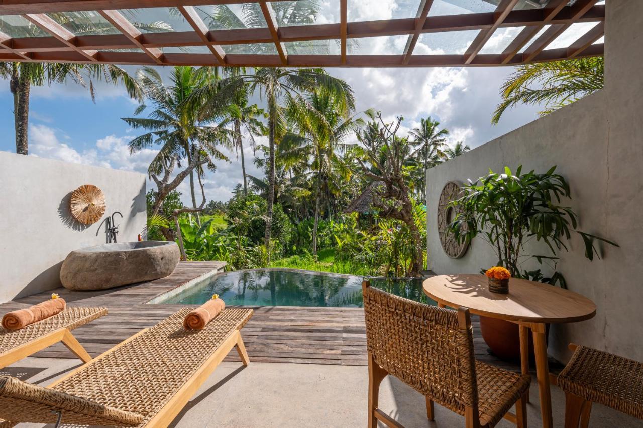 Rice Field Pool Suite