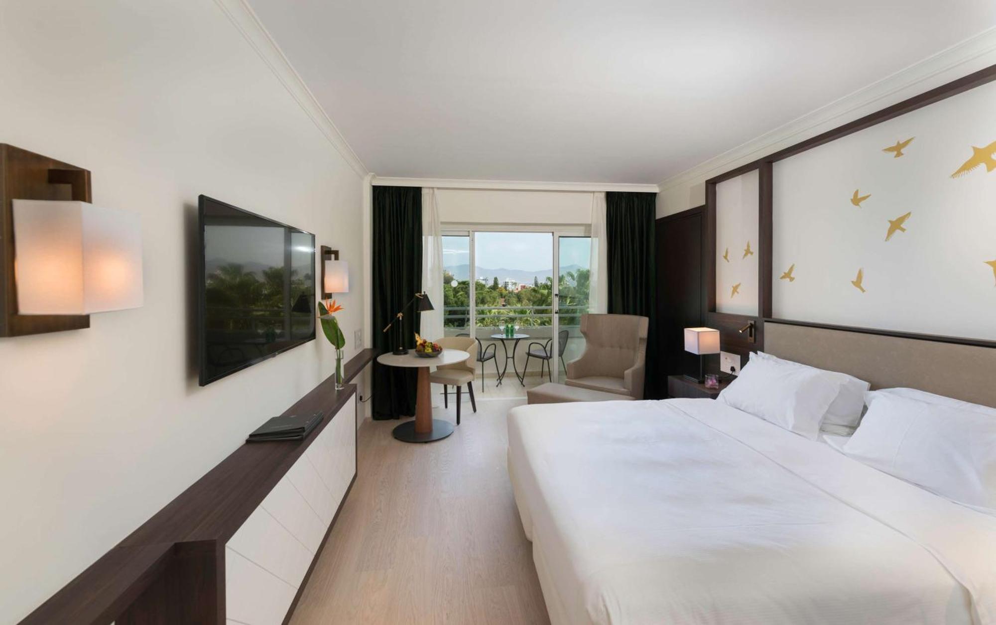 Executive Kamer met Kingsize Bed