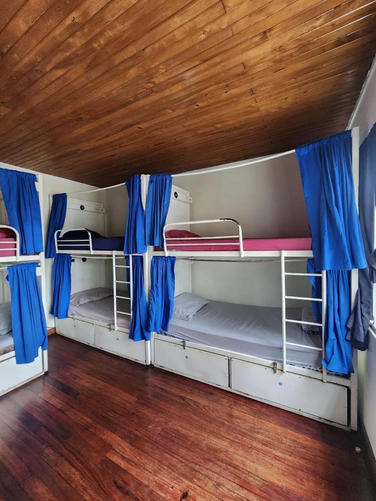 Bed in 8-Bed Mixed Dormitory Room