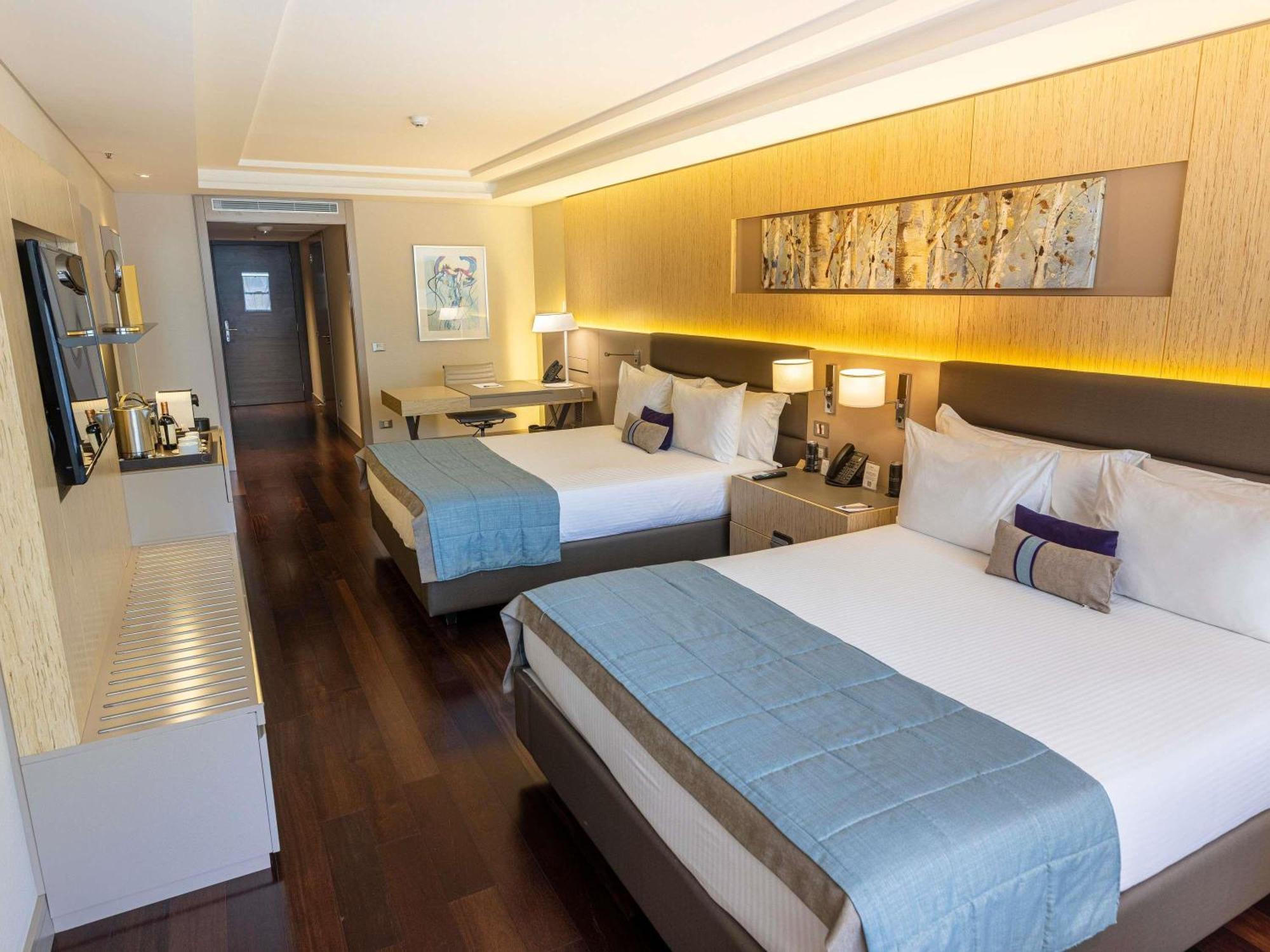 Deluxe Queen Suite with Park View - Mobility Accessible