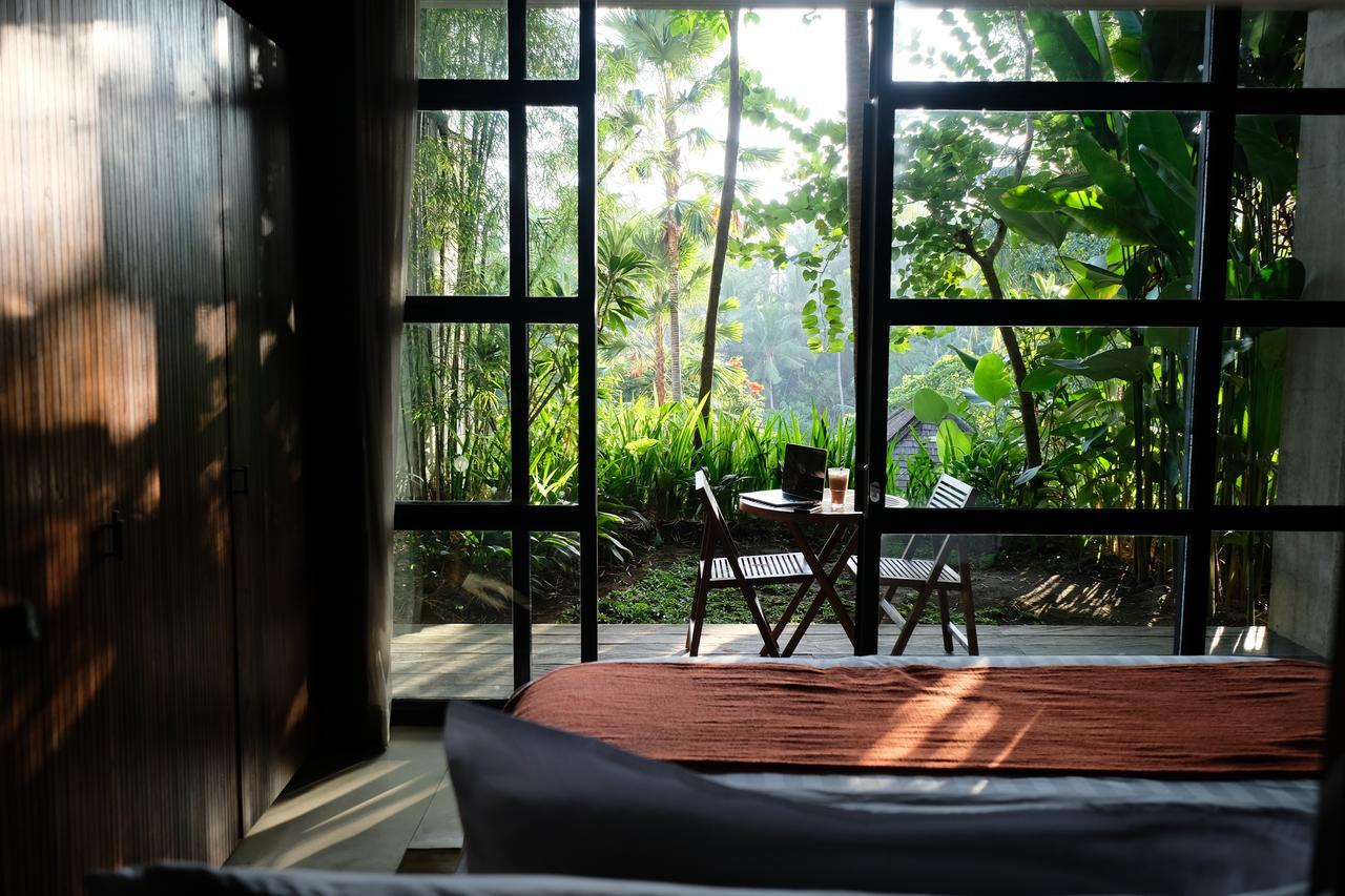 Forest Suite