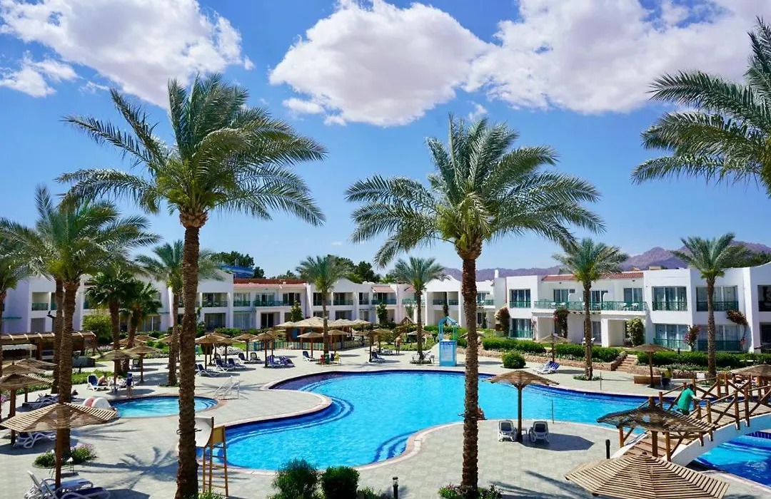 Panorama Naama Heights Aqua Park-1