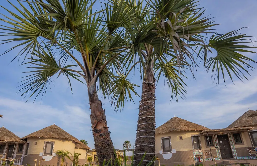 The Fern Seaside Luxurious Tent Resort Diu-1