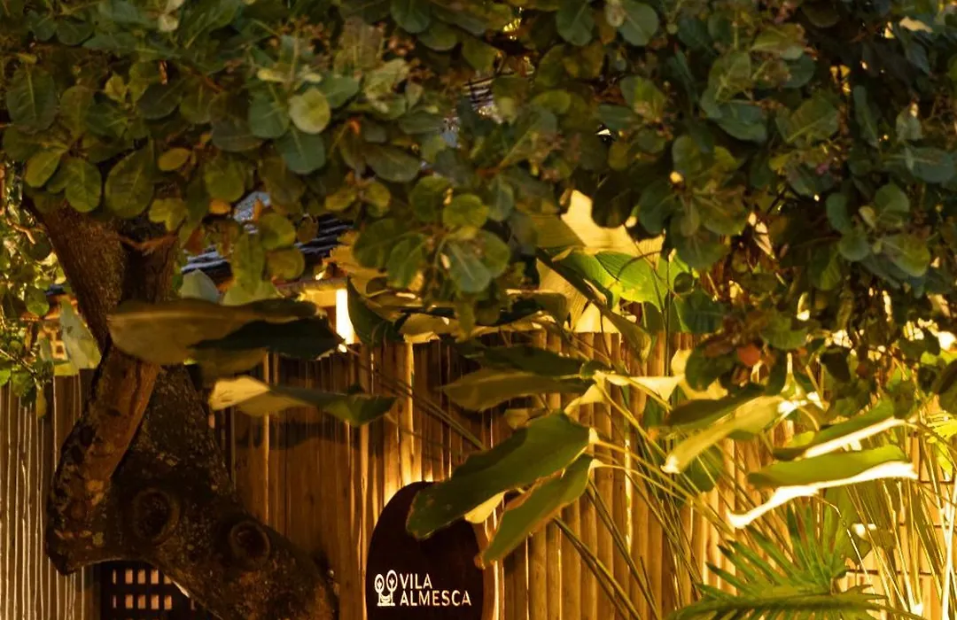 Vila Almesca-1