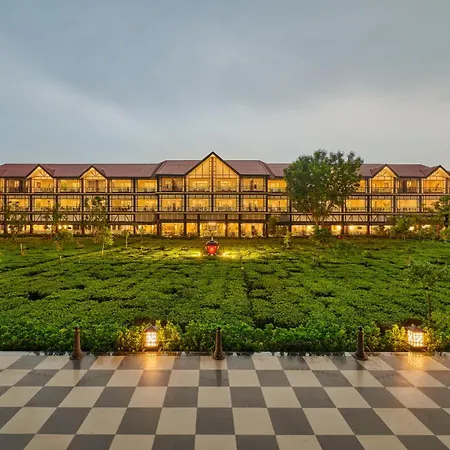 Mayfair Tea Resort-2