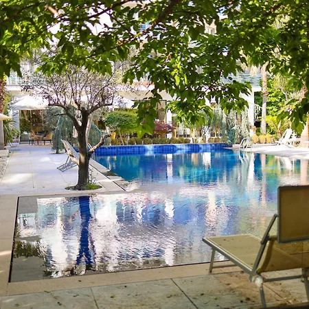 Hotel Mille Amici-2