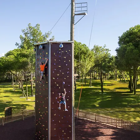 Regnum Carya-3