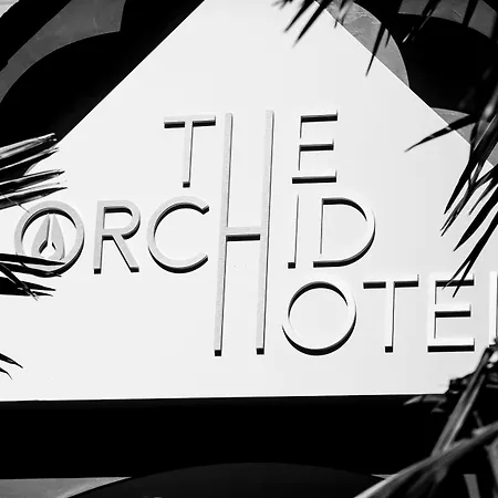 The Orchid Hotel-2