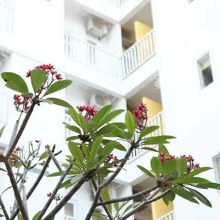 The Frangipani Living Arts Hotel And Spa-2