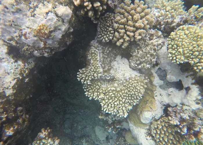 Hostel: Star Of Dahab Hotel