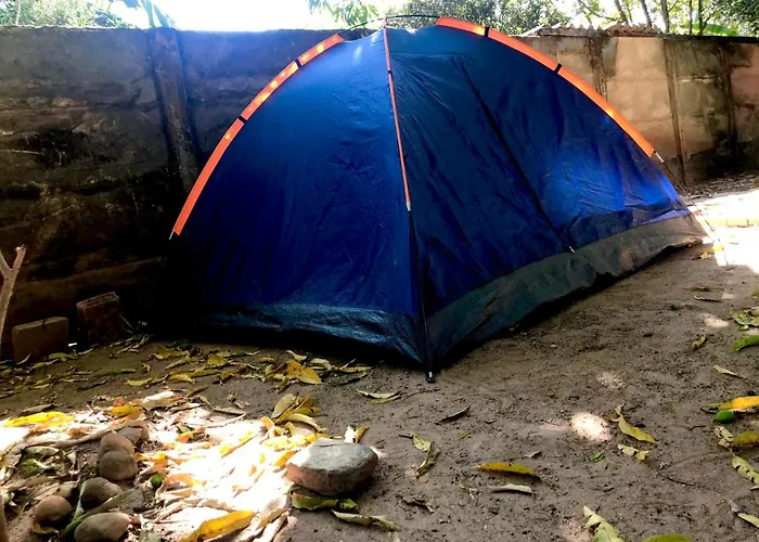 Hotel que aceita animais de estimação: Hostel Rua Direita Pirenopolis