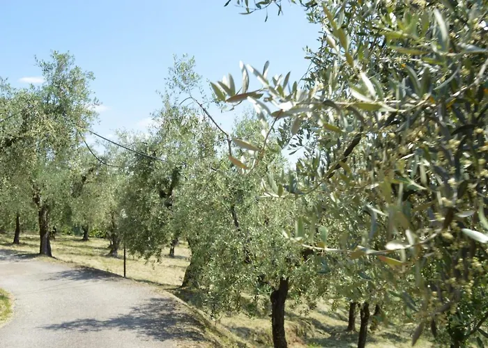  Il Podere Di Tacito