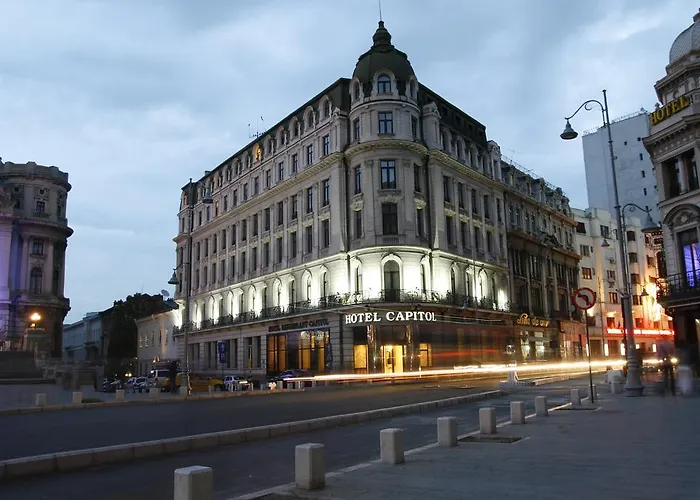 Hôtel accueillant les animaux: Capitol Hotel
