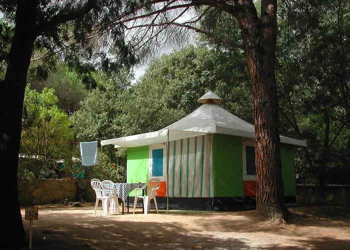 Hôtel accueillant les animaux: Camping Paduella