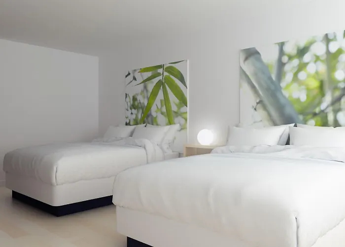 Hotel barato: Greenpoint Hotel Kissimmee