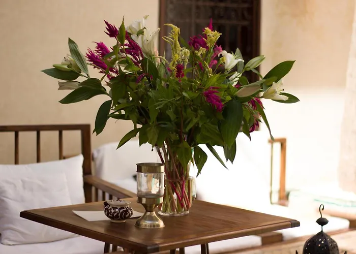 Riad Amira