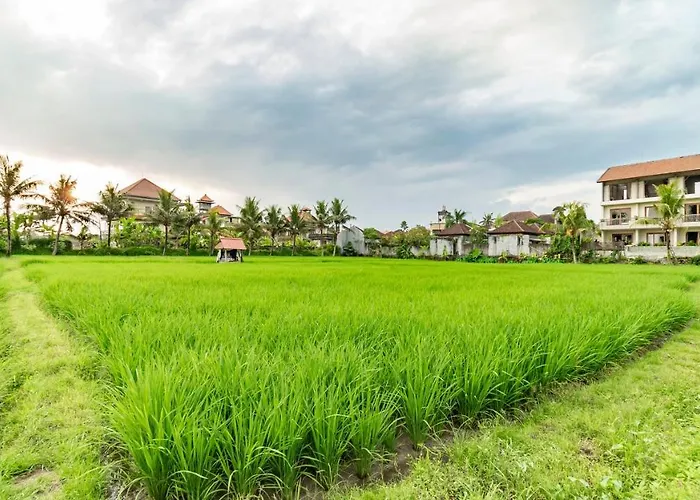 Hotel met uitzicht: Juli House Ubud By Mahaputra
