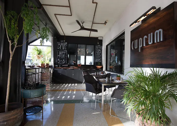 Dog friendly hotels South Beach Plaza