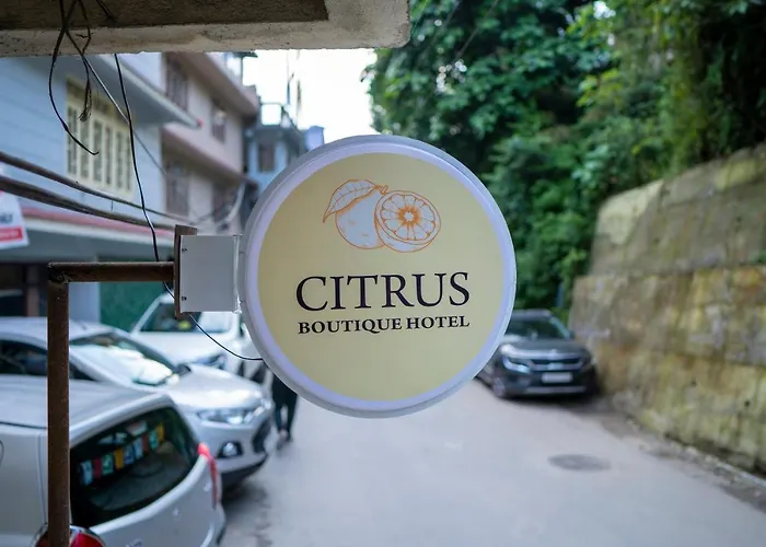 Citrus Boutique
