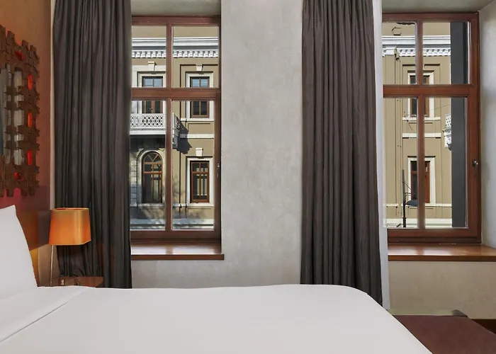 Animaux admis W Istanbul (Adults Only)