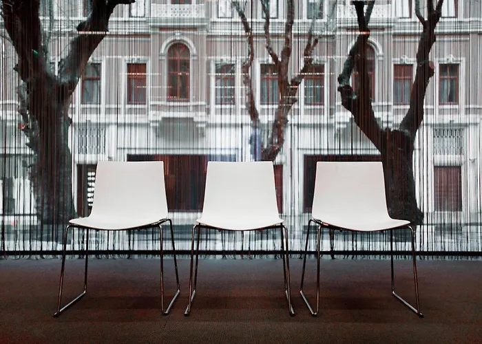 Animaux admis W Istanbul (Adults Only)