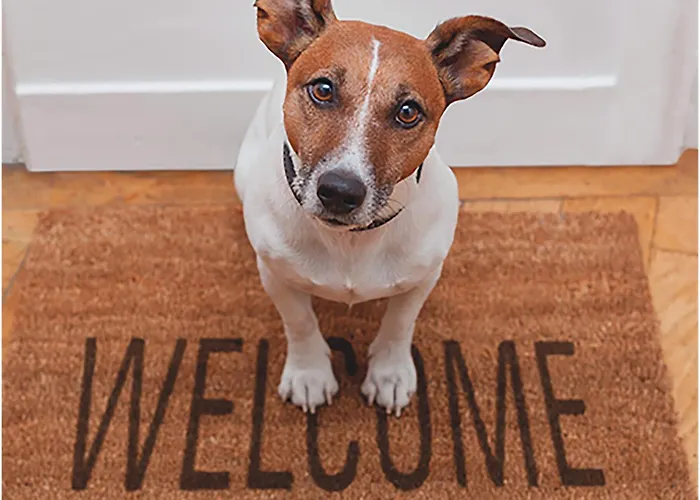 Barbacan Boutique Hotel