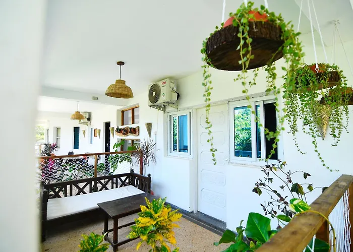 Beach Hotels Tulia House Backpackers