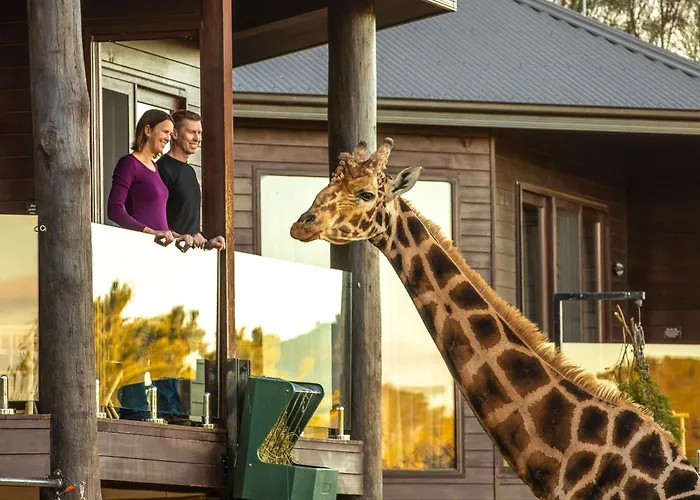 Cabin: Jamala Wildlife Lodge