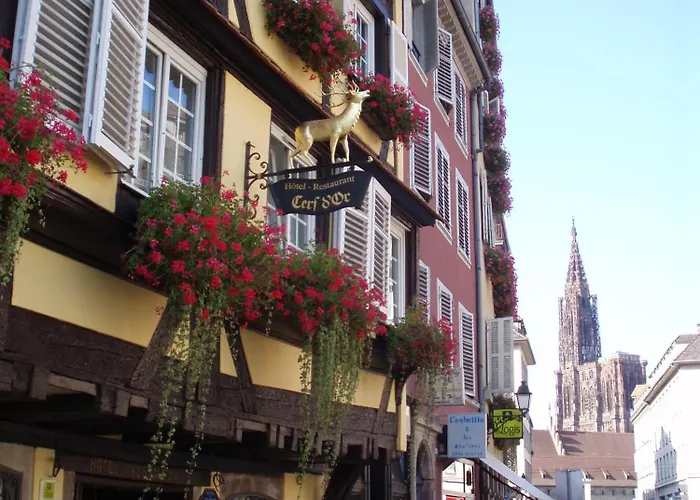 Hotel Restaurant Au Cerf d'Or