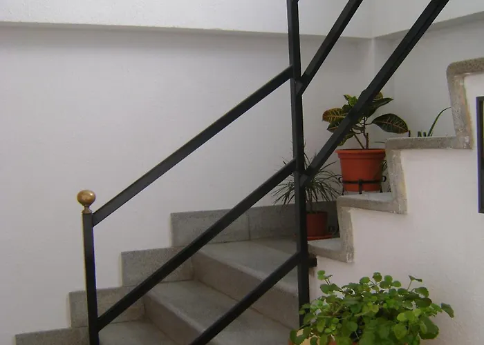 Hotel adatto agli animali: Saturno