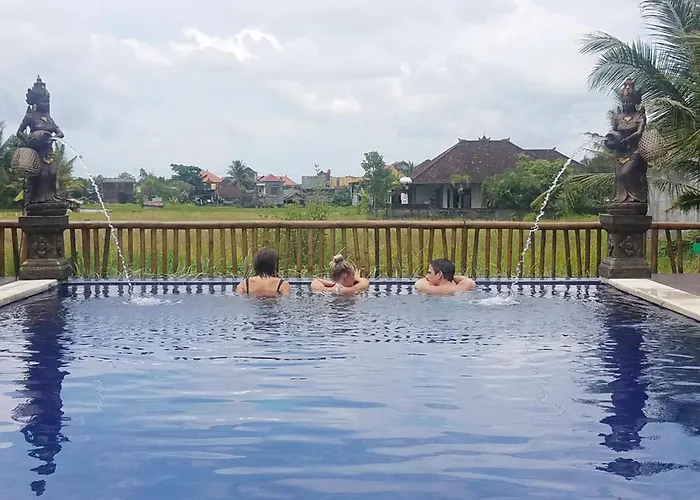 Hotel: Green Paddy Hostel & Villa