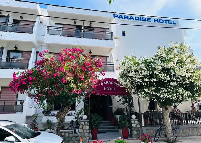  Paradise