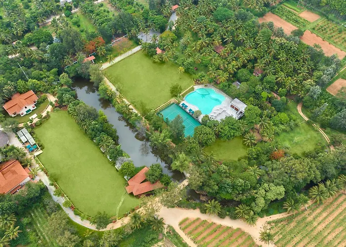 Pets Allowed Hotel Big Banyan Vineyard & Resort