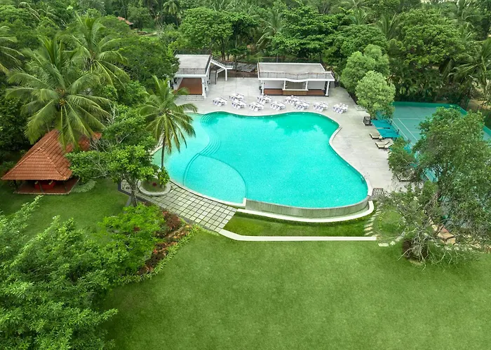 Pets Allowed Hotel Big Banyan Vineyard & Resort