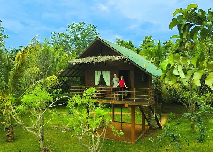 Chena Huts Eco
