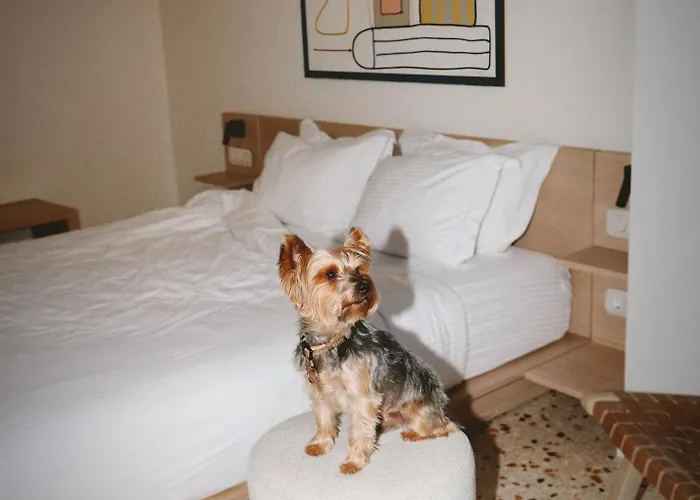Kid friendly hotel Vasi