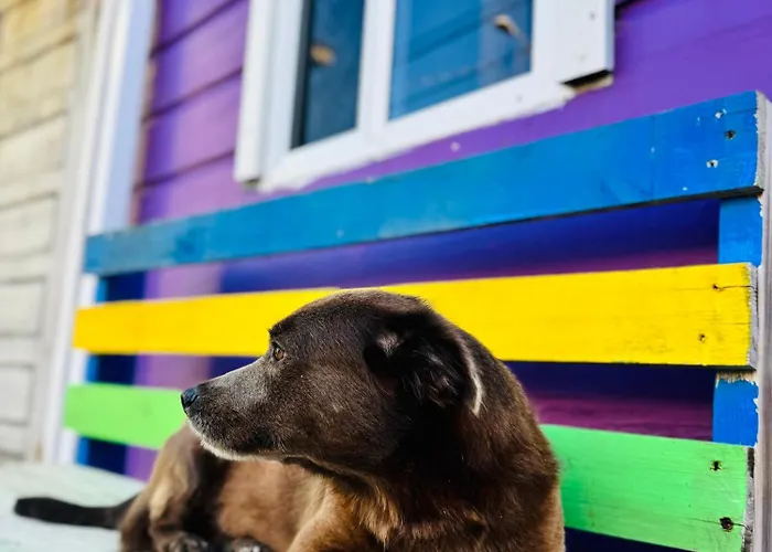 Go Slow Guesthouse