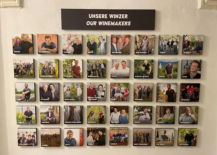 Hotel familiare: Hotel Rathaus - Wein & Design