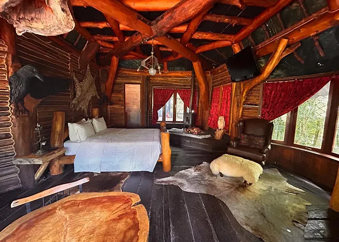  Art Lodge