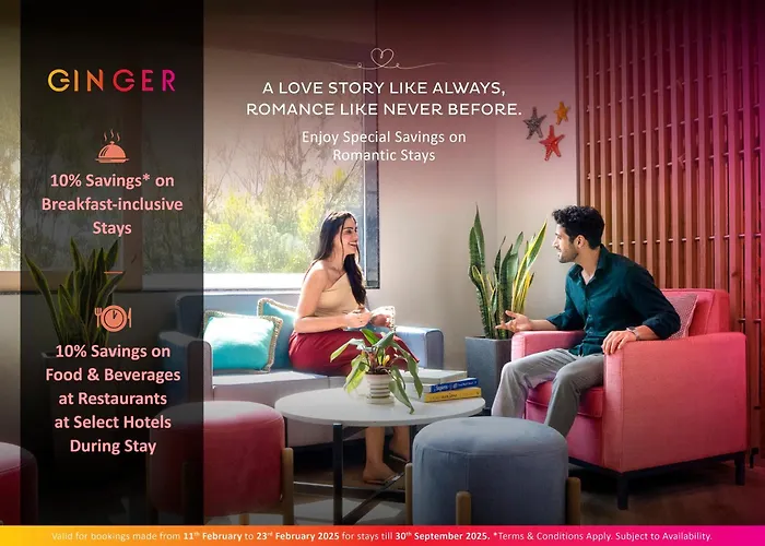 3 star hotel: Ginger Dwarka